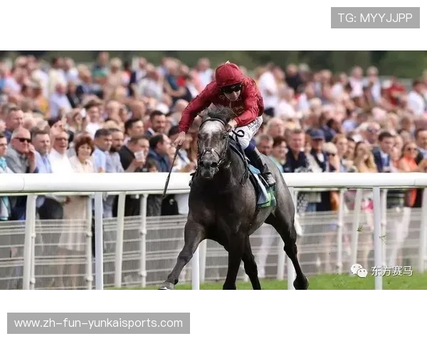 2018重点足球赛事(2018年足球赛事一览表)sports